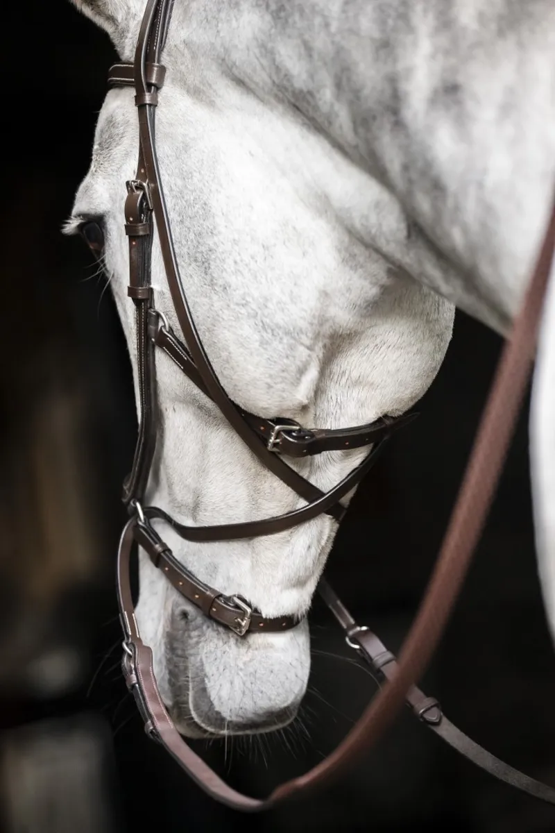 Horseware Micklem Bitless Bridle Brown-2