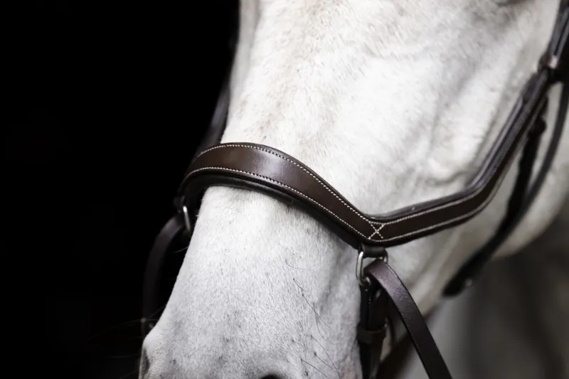 Horseware Micklem Bitless Bridle Brown-4