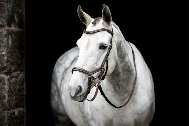 Horseware Micklem Bitless Bridle Brown