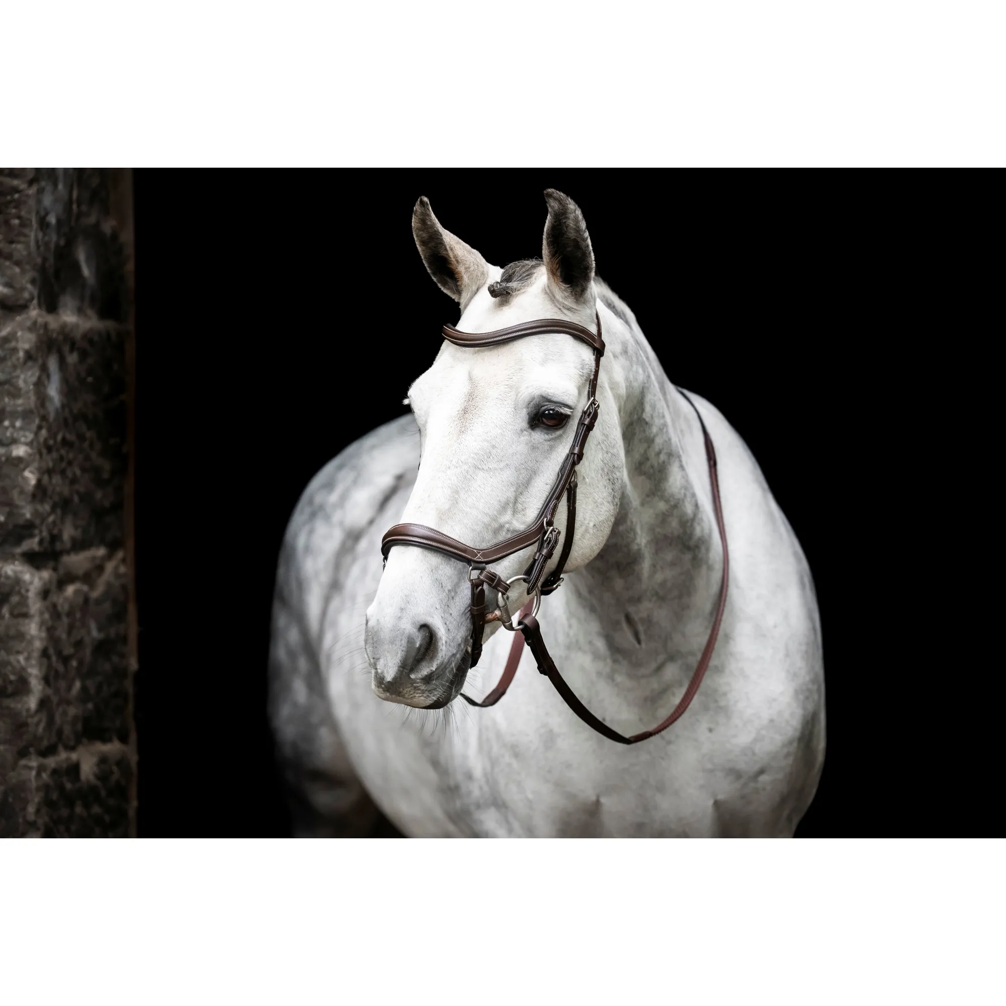 Horseware Rambo micklem Multi - Brown Poney Marron - marron Horseware Rambo micklem Multi - Brown Poney Marron - marron