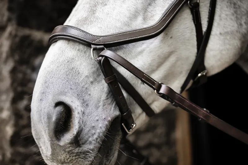 Horseware Micklem Bitless Bridle Brown-1