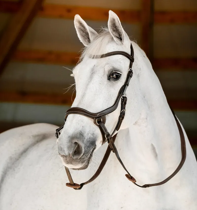 Horseware Micklem Bitless Bridle Black