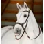Horseware Micklem Bitless Bridle Black