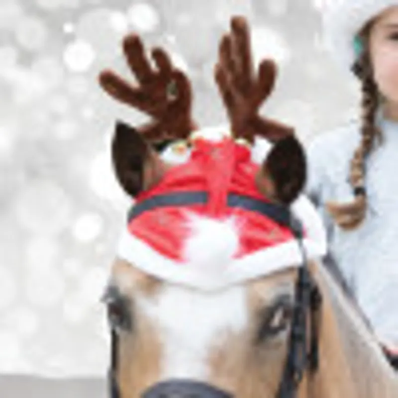 Equetech Childs Santa Glitter Snowflake Hat Horse Bonnet Red/White-1