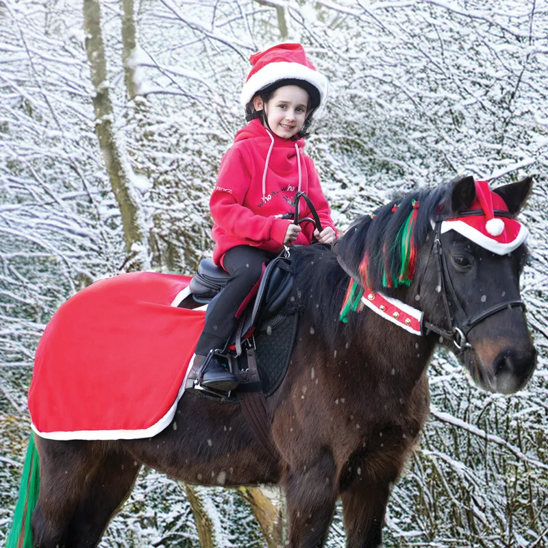 Equetech Santa Festive Horse Quarter Sheet