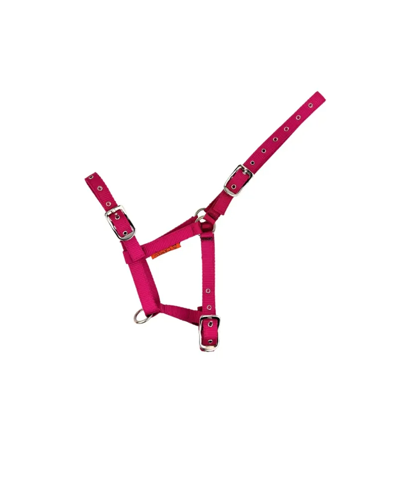 Cameo Foal Headcollar Pink