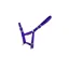 Cameo Foal Headcollar Purple