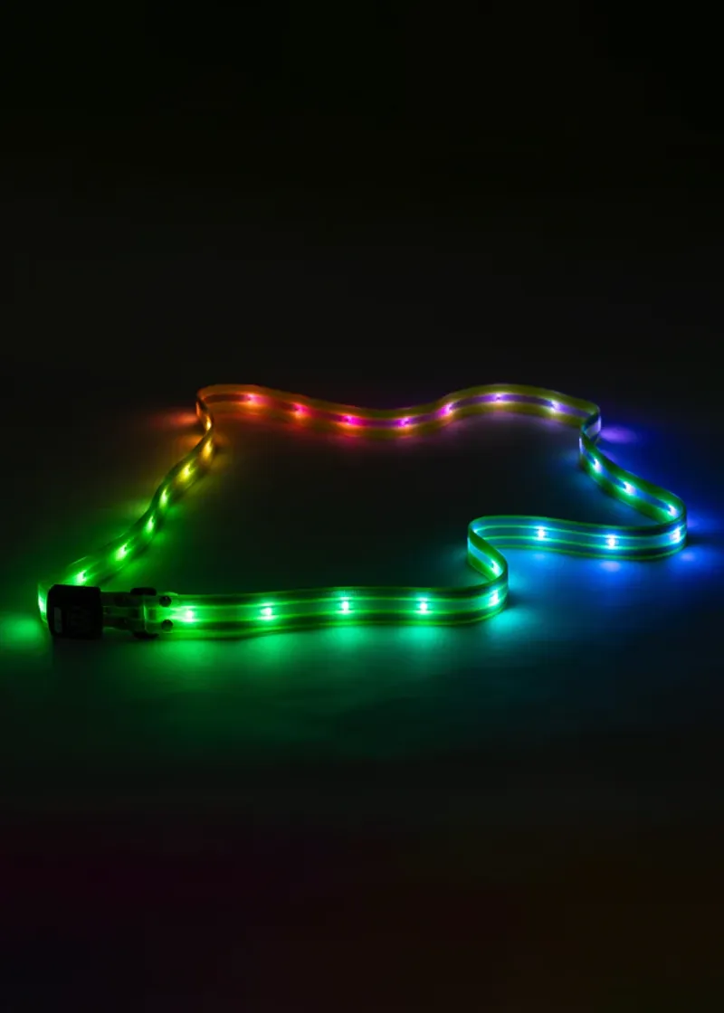 Woof Wear LED Sash Yellow-5