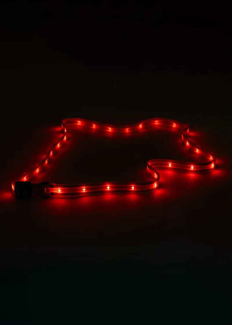 Woof Wear LED Sash Yellow-7