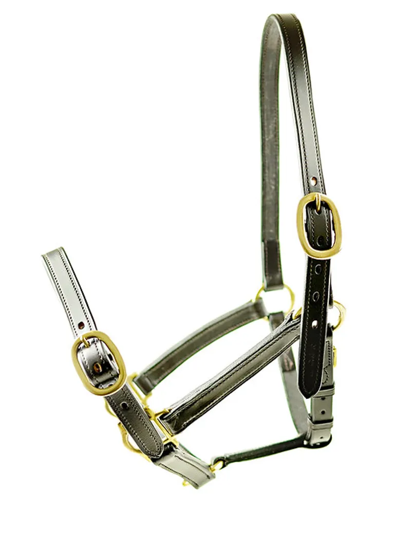 Dever Ascot Weanling/Yearling Headcollar Brown-1