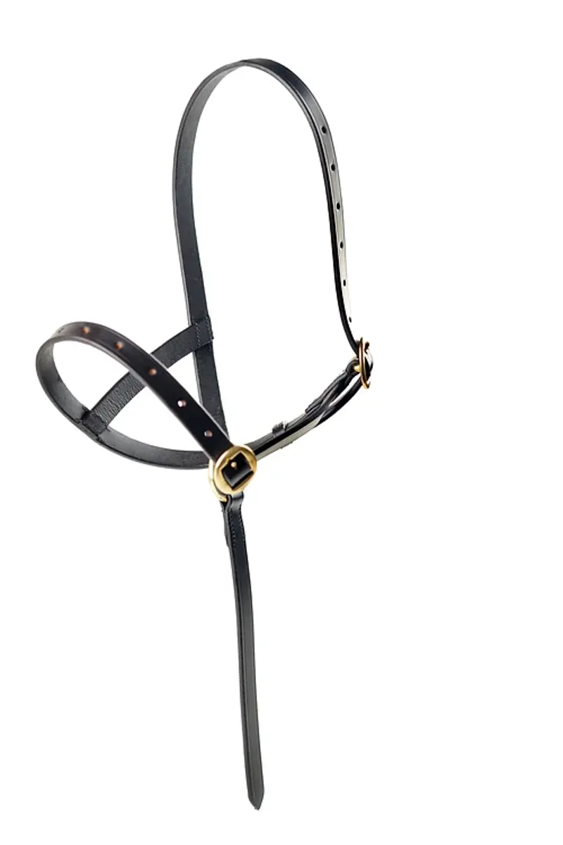 Dever Ascot Leather Foal Slip Brown