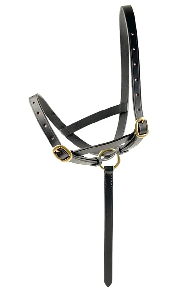 Dever Ascot Leather Foal Slip Brown-1