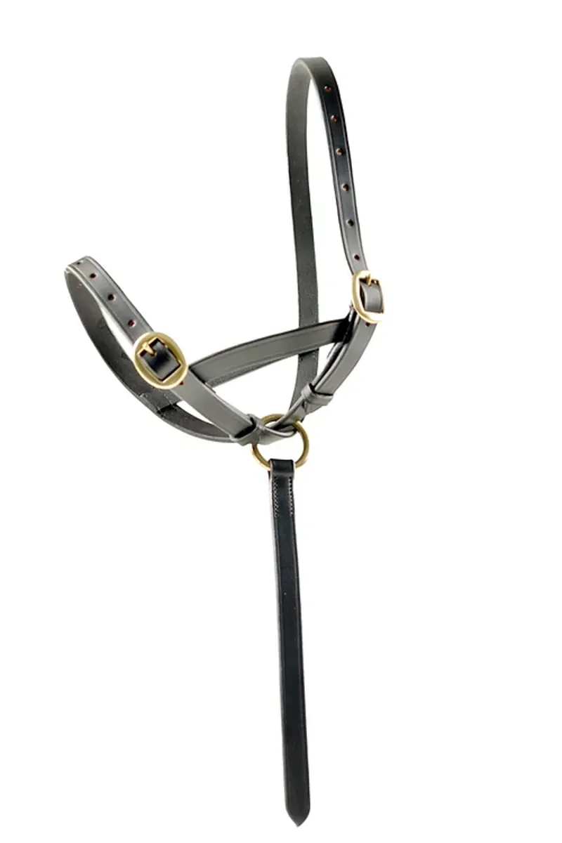 Dever Ascot Leather Foal Slip Brown-2