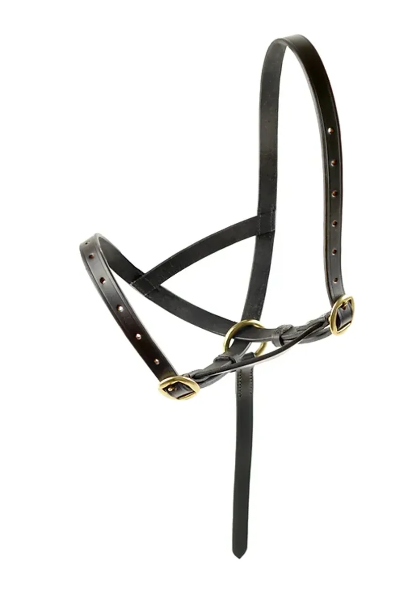 Dever Ascot Leather Foal Slip Brown-3