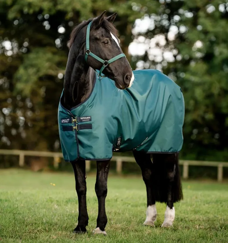 Amigo Ripstop 900D Turnout 50g Light Weight Rug Dynasty Green/Navy/Silver