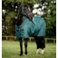 Amigo Ripstop 900D Turnout 50g Light Weight Rug Dynasty Green/Navy/Silver