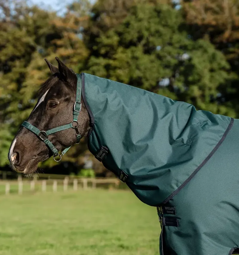 Amigo Ripstop 900D Plus Turnout 100g Light/Medium Weight Rug Dynasty Green/Navy/Silver-1