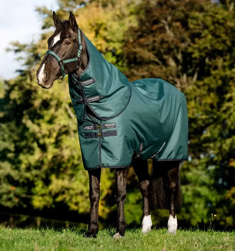 Amigo Ripstop 900D Plus Turnout 100g Light/Medium Weight Rug Dynasty Green/Navy/Silver