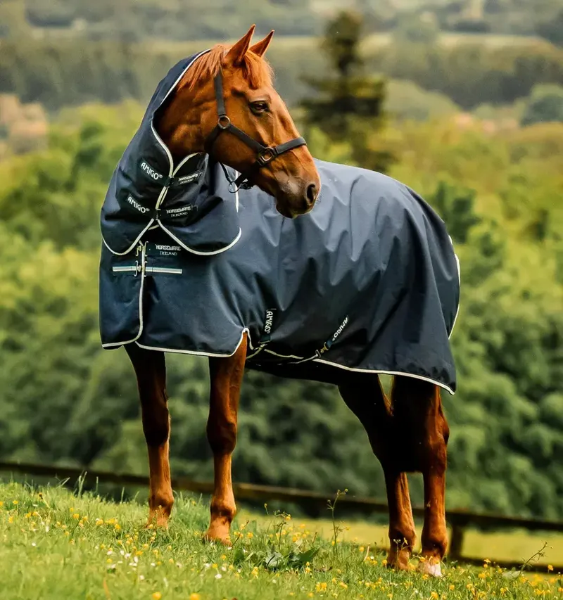 Horseware Amigo Ripstop 900D Plus Turnout 200g Medium Weight Rug Dynasty Whitney Stripes Navy-1