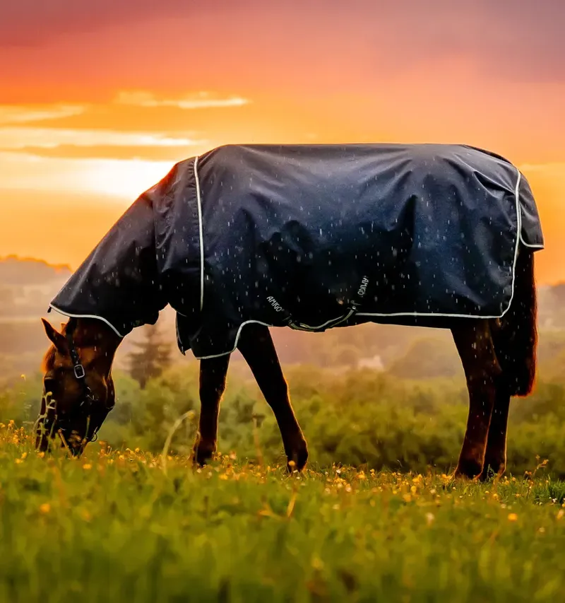 Horseware Amigo Ripstop 900D Plus Turnout 200g Medium Weight Rug Dynasty Whitney Stripes Navy-7