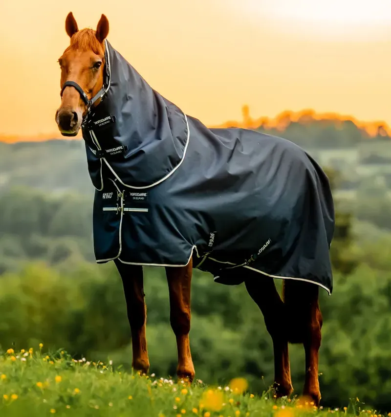 Horseware Amigo Ripstop 900D Plus Turnout 200g Medium Weight Rug Dynasty Whitney Stripes Navy-6