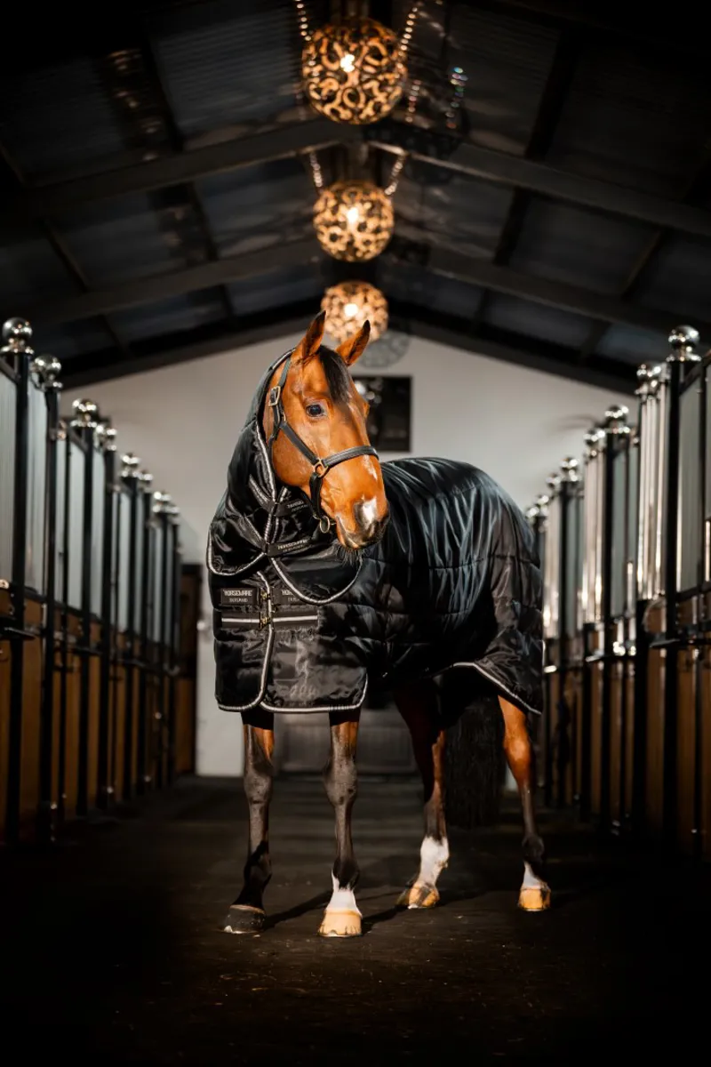 Horseware Easy-Layer Stable Plus 200g Medium Weight Black/Silver