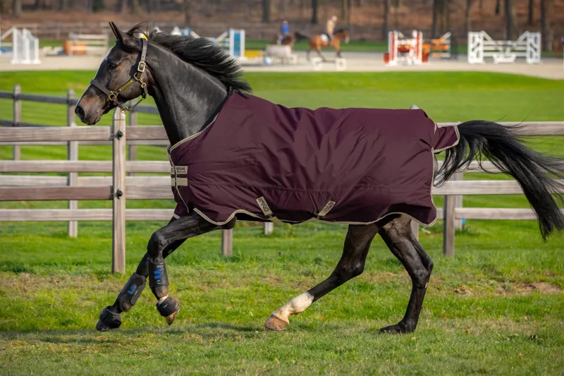 Amigo Hero Ripstop 0g Light Weight Turnout Rug Fig