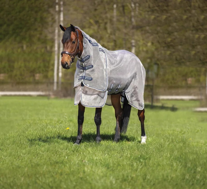 Rambo Protector Fly Rug  Oatmeal/Navy