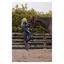 Cameo Ladies Performance Riding Tights Navy