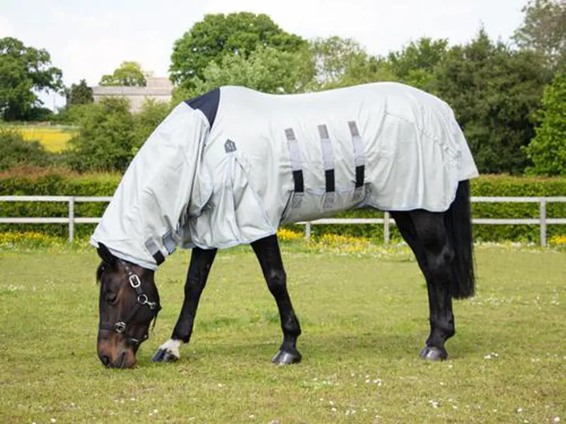 Mark Todd Fly Ultra Combo Rug