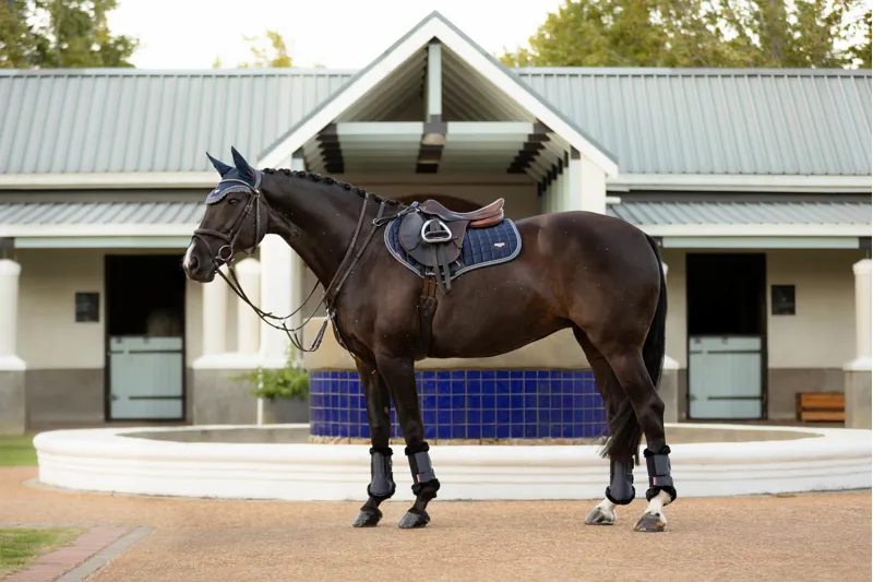 LeMieux  Loire Classic Close Contact Square Twilight Navy-9