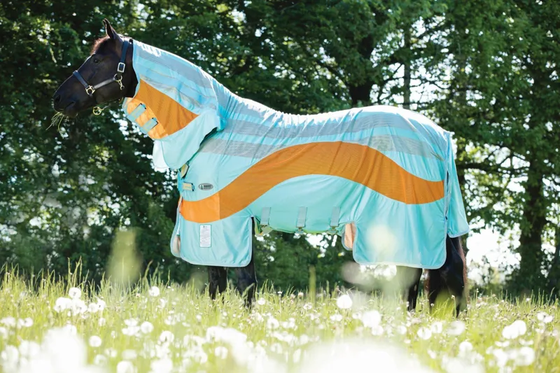 The Amigo Evolution Fly Rug With Vamoose Aqua/Orange