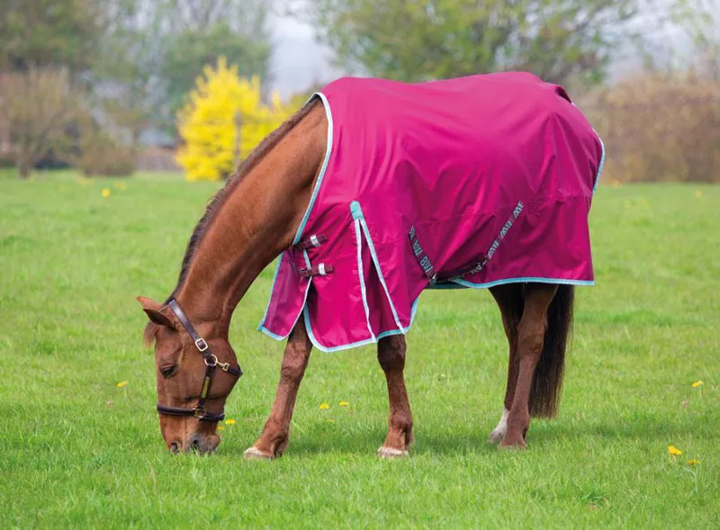 Ontario Raspberry Rug Bridleway Ontario 0g lightweight Turnout Rug Raspberry