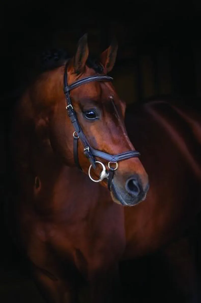 Rambo Micklem Deluxe Competition Bridle Black