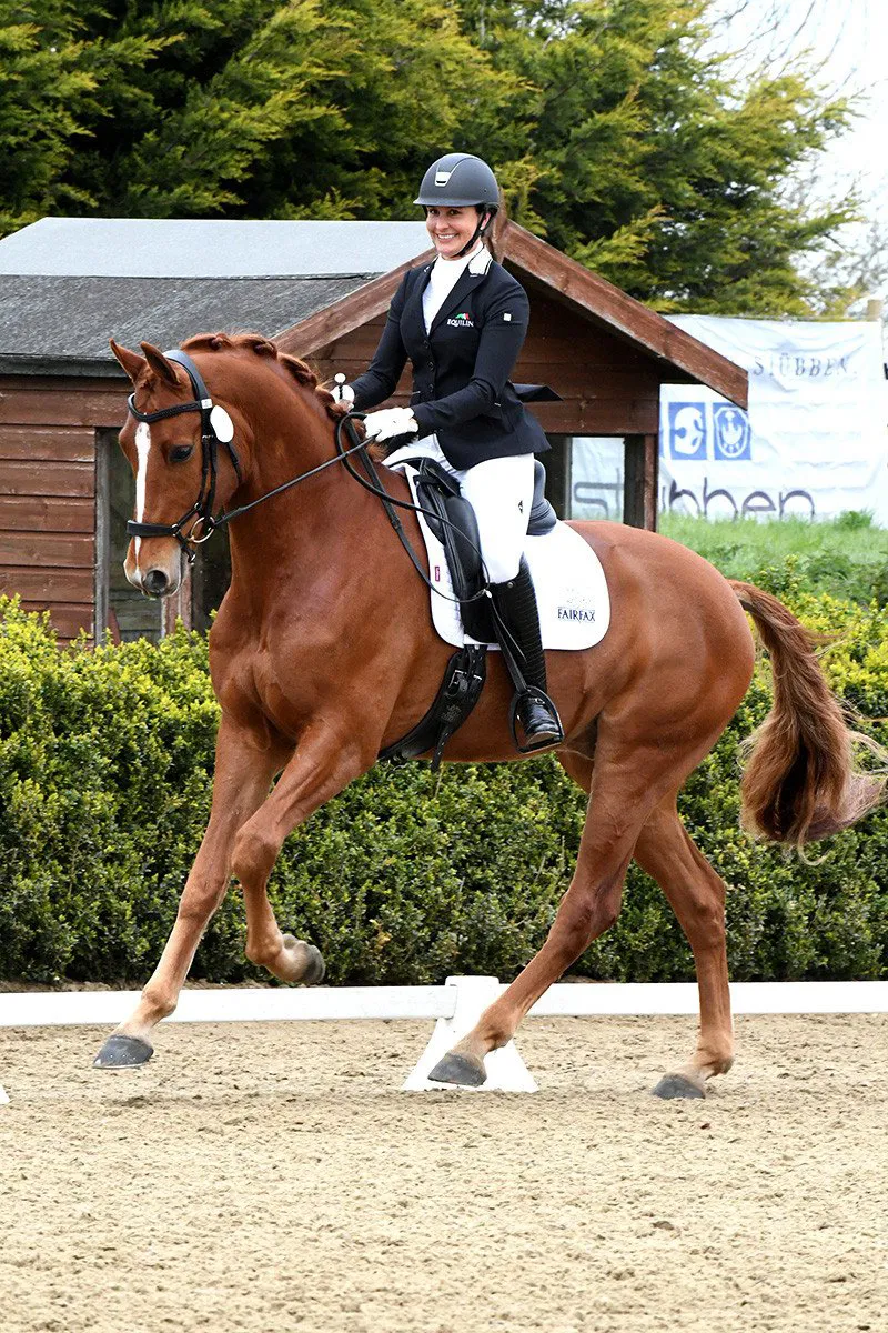 Selle De Dressage Freeny New Leather - Premier Equine Monoflap - Noir 17.5"
