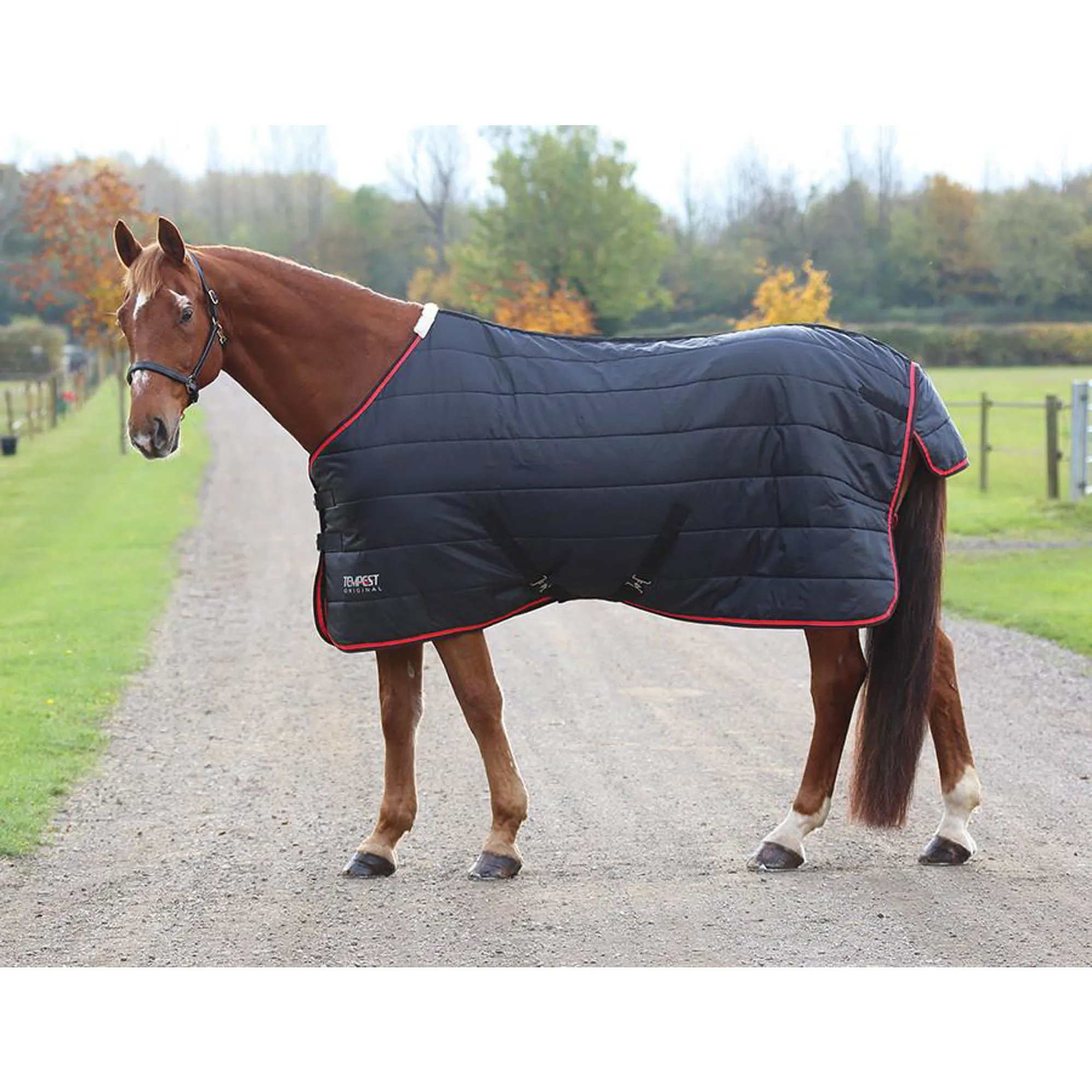 Shires Tempest Original 100g Light/Medium Weight Stable Rug
