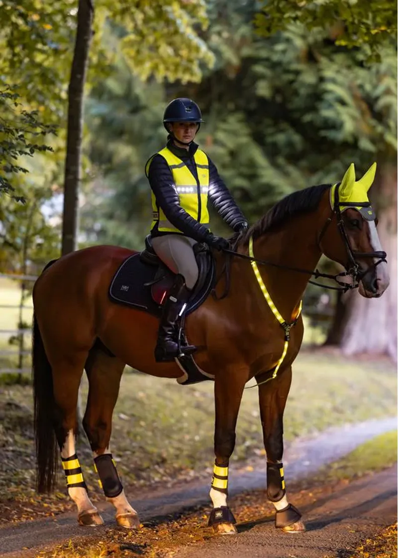 Woof Wear LED Riding Vest Yellow-4