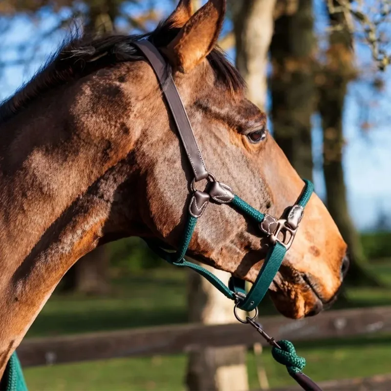 Cameo Rope Headcollar And Lead Rope Evergreen-1