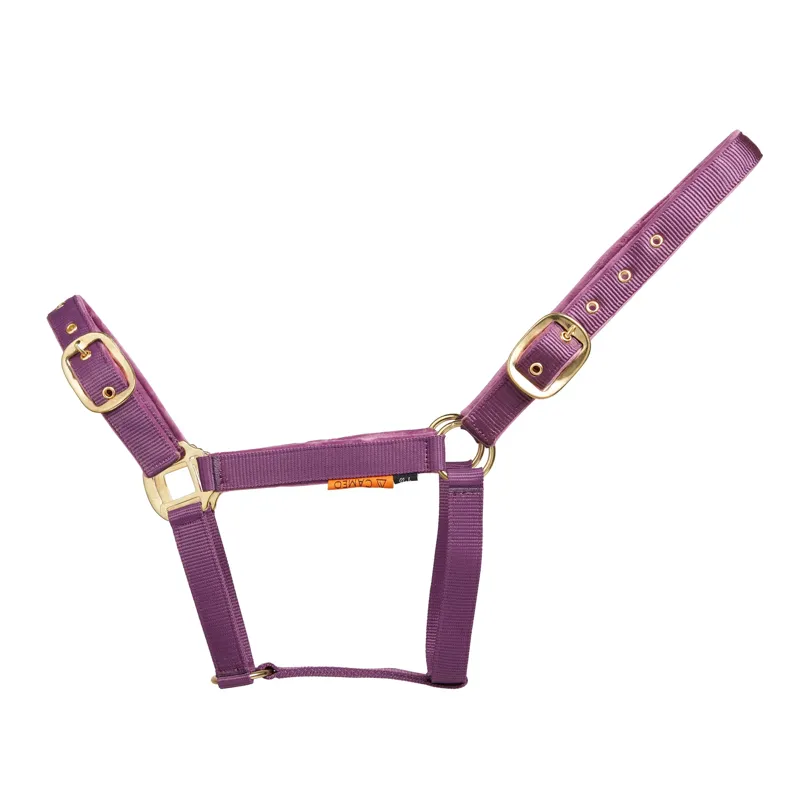 Cameo Suede Padded Headcollar Deep Purple
