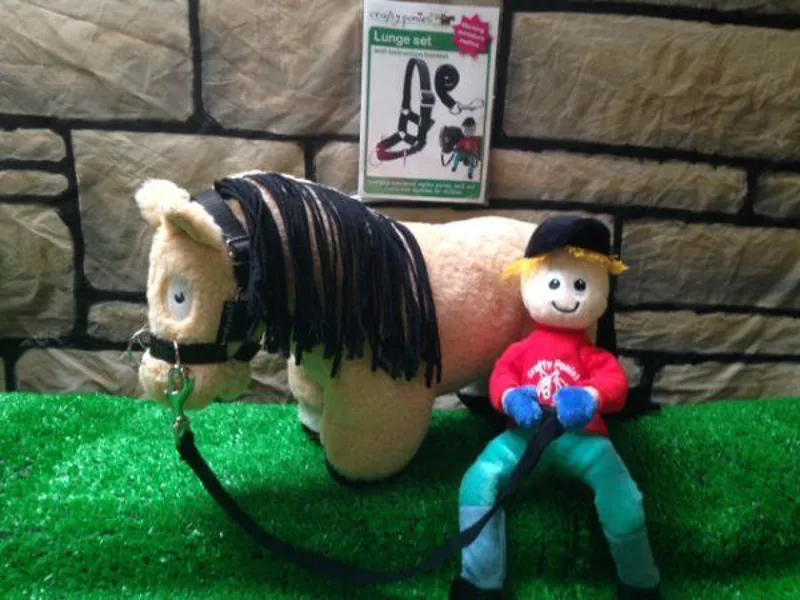 Crafty Ponies Lunge Set Black-2
