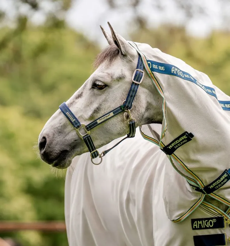 Horseware Field Safe Headcollar Navy