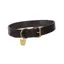Digby and Fox Flat Leather Collar Brown