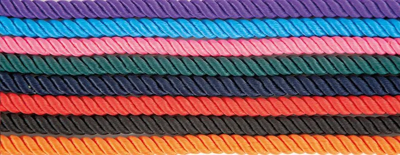 Digby and Fox Rope Lead Blue-1