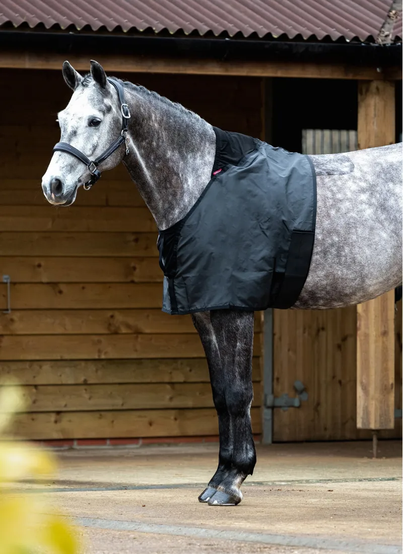LeMieux Anti Rub Bib Black