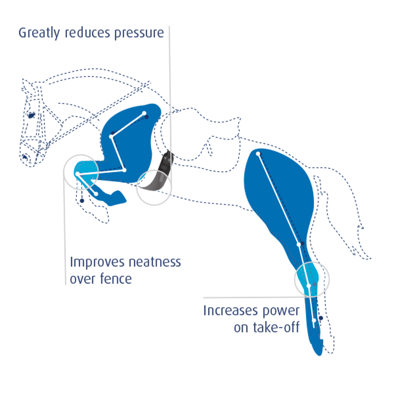 Prolite Long Girth Narrow Brown-2