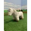 Crafty Ponies Soft Toy White With Book