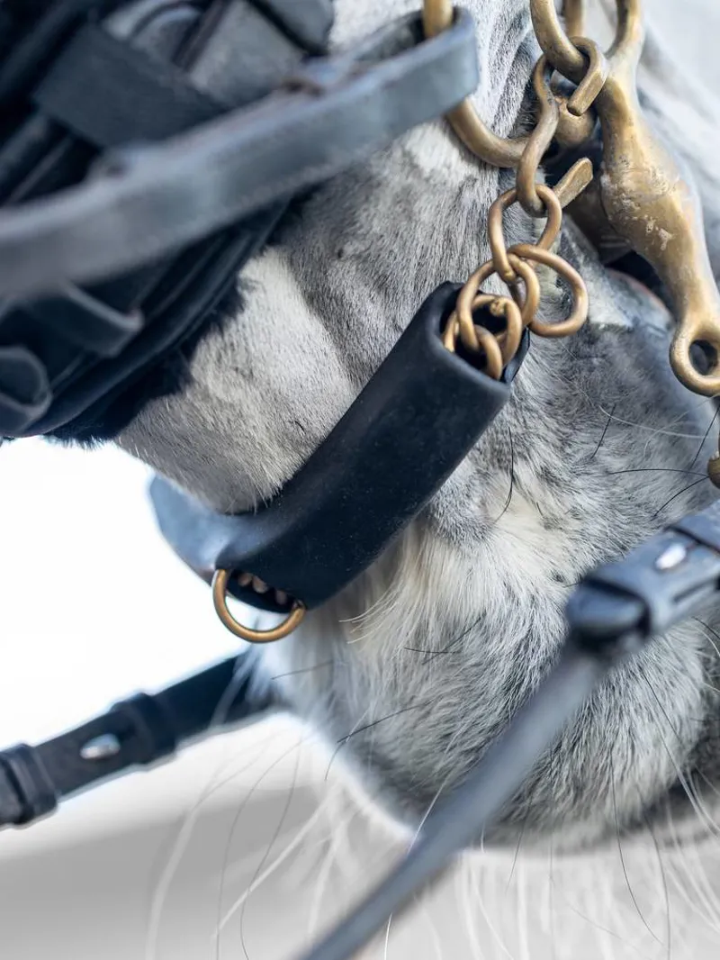 LeMieux Curb Chain Guard Black-1