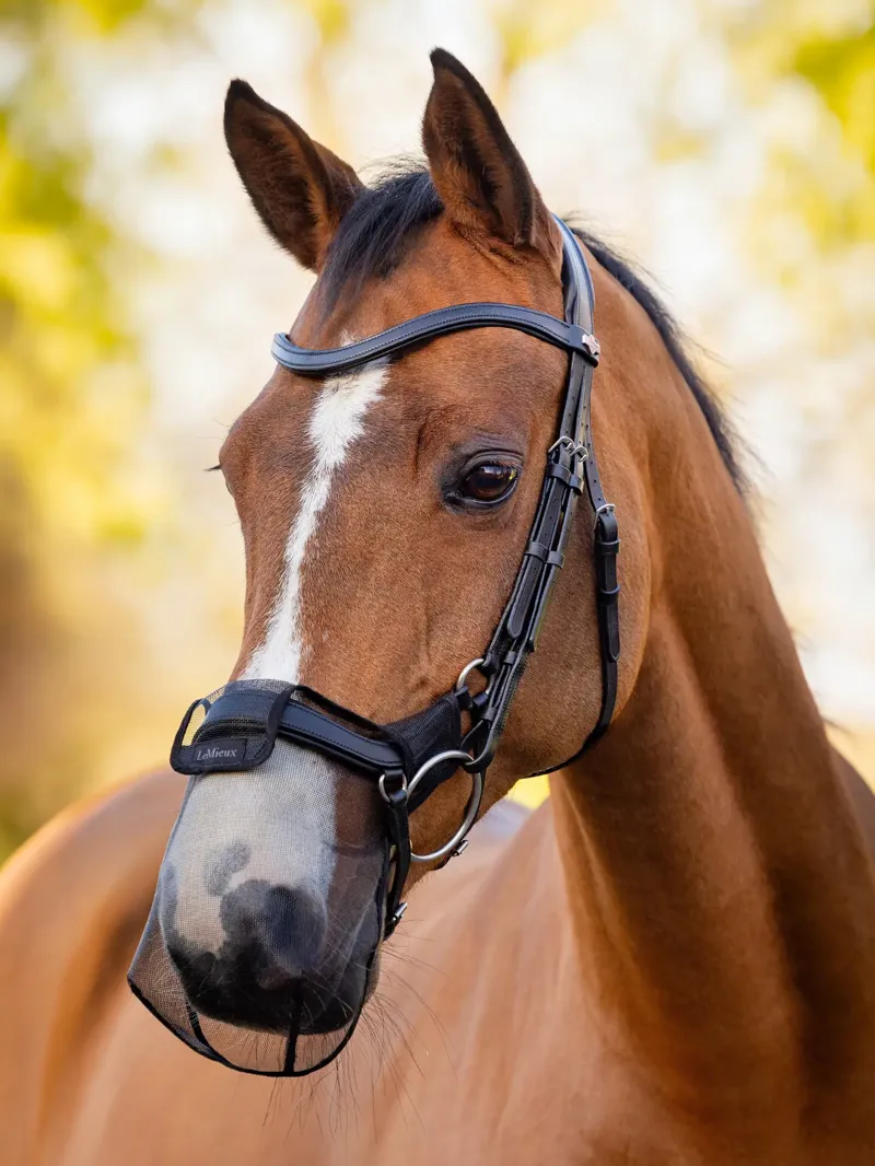 Lemeiux Comfort Shield Nose Filter Drop And Anatomical Nosebands Black