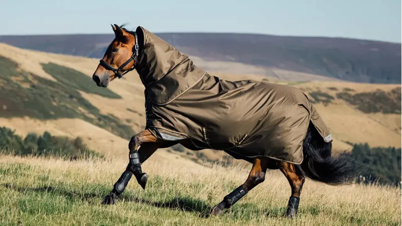LeMieux Arika Ripstop 0g Turnout Rug Alpine-1