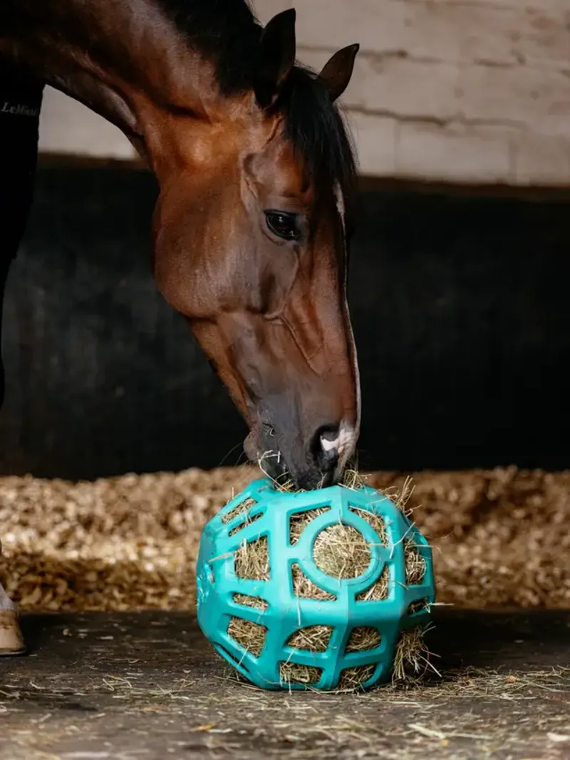 LeMieux Hay Ball Lagoon One Size-1